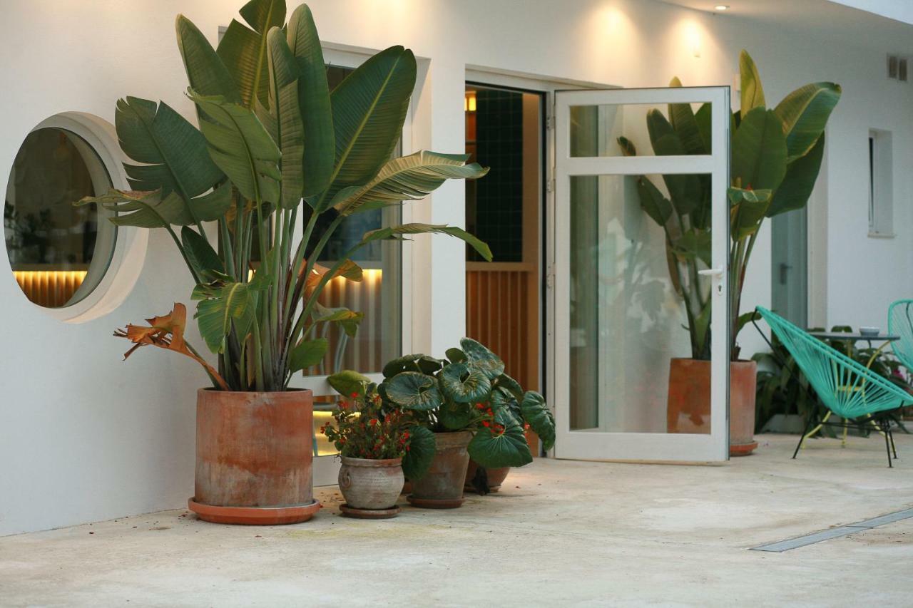 Hostal Las Cumbres Conil De La Frontera Dış mekan fotoğraf